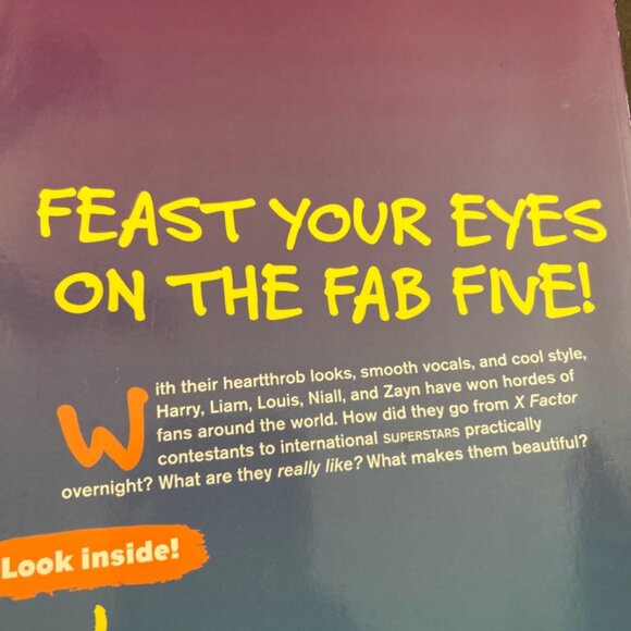 Superstars! One Direction Inside Their World The Music Sensation - Picture 8 of 10